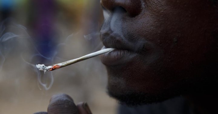 Quebec bill to regulate supervised drug consumption locations gets mixed reviews – Montreal [Video]