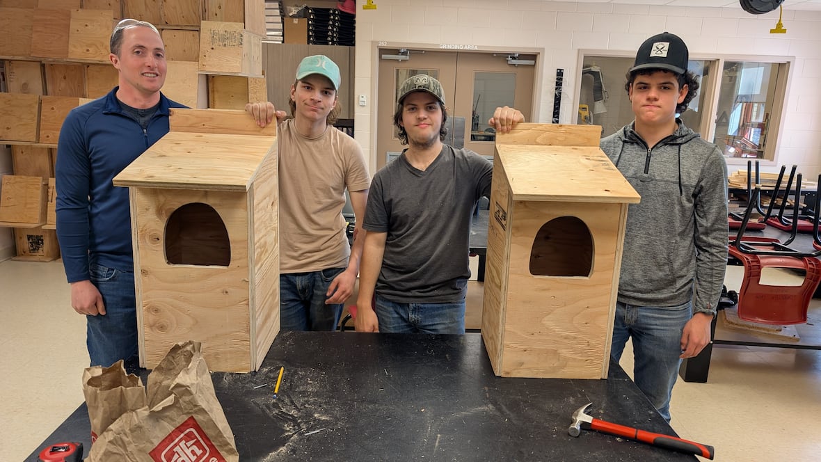 Students in Montague, P.E.I., putting hammers to nails to help provide more owl habitat [Video]