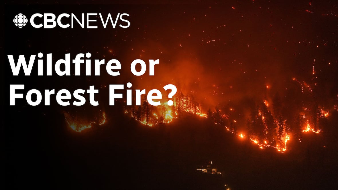 What is the difference between a wildfire and a forest fire? [Video]