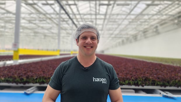 Can machine-grown lettuce help cut Canada’s reliance on U.S. greens? This farmer is betting on it [Video]