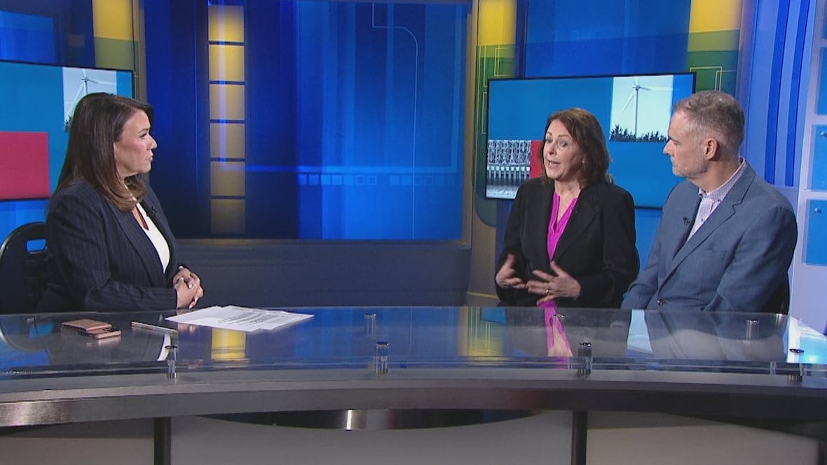 Our panel ponders how a story about keeping P.E.I. students safer is playing out in the legislature [Video]