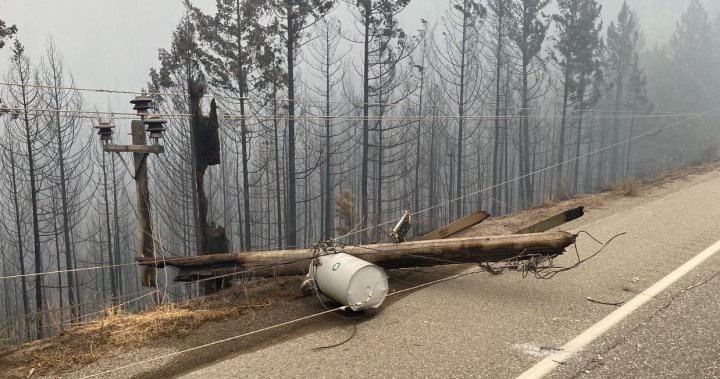 Power shutoff initiative creating wave of fear, says Princeton, B.C. mayor – Okanagan [Video]