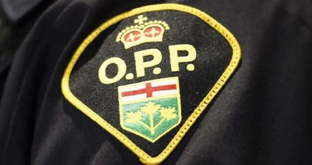 Several dead and sick animals found in ‘bad smelling’ Ontario home [Video]