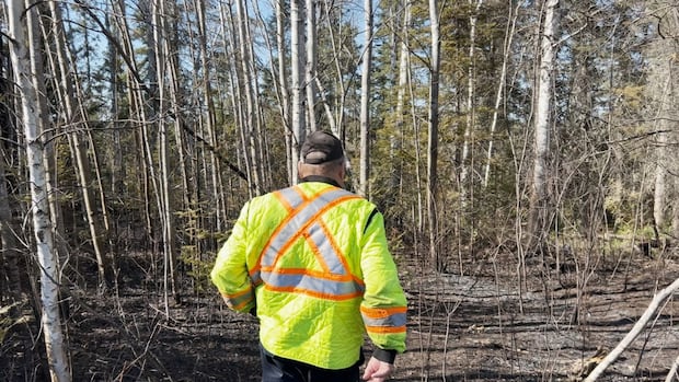 As Manitoba wildfires spread, Pimicikamak Cree Nation braces for the worst [Video]