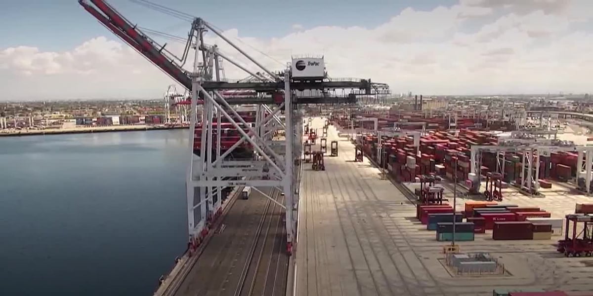 Cargo traffic down, prices up amid tariff uncertainty [Video]