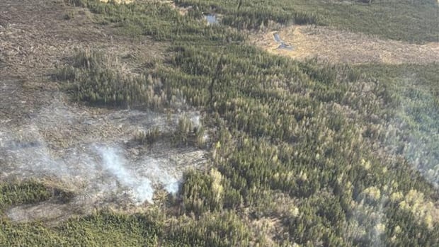 Warm, dry weather stoking 11 wildfires left over from last year near Fort Nelson [Video]