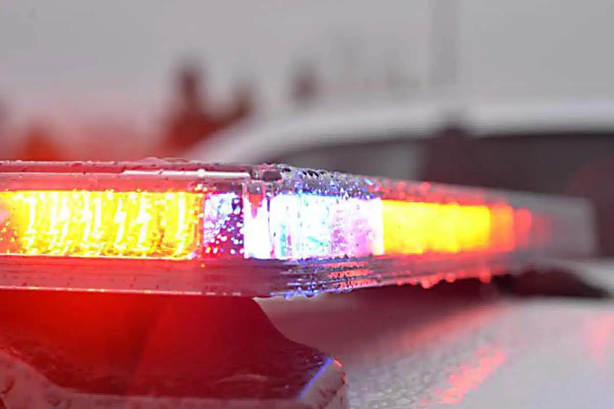 Knife assault on children posted online leads to arrest of two teens in Ontario [Video]