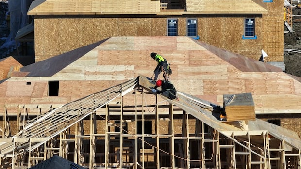 As Ontario struggles to reach home building goal, new bill could speed up development [Video]