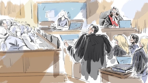 Woman’s cross-examination so far in hockey sex assault trial in London, Ont., and what’s expected next [Video]