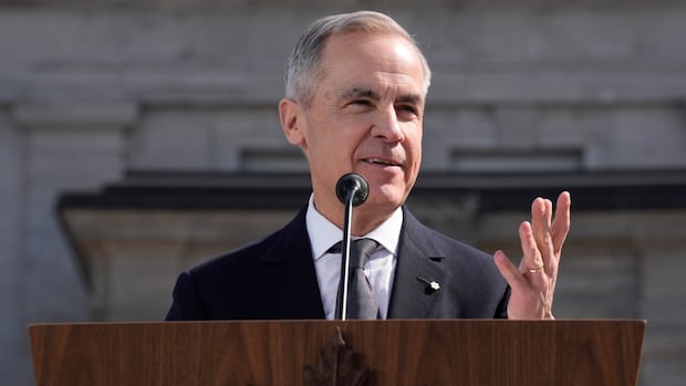 Carney’s new cabinet moves Anand to foreign affairs, McGuinty into defence portfolio, Joly to industry [Video]