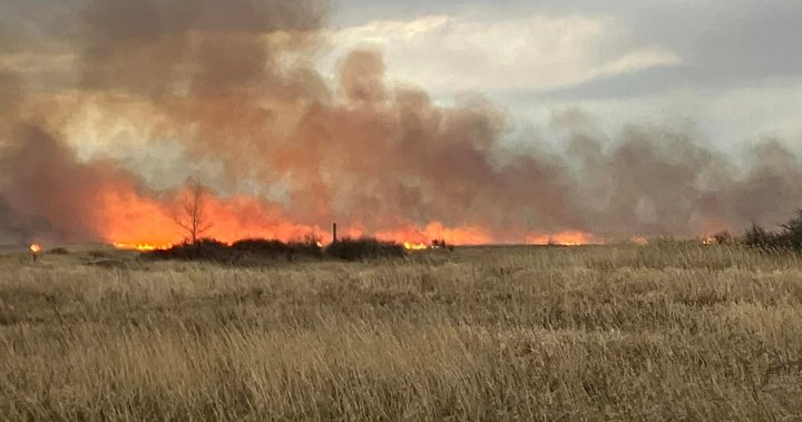 Would have been devastating: Fire at Oak Hammock Marsh narrowly misses new building – Winnipeg [Video]