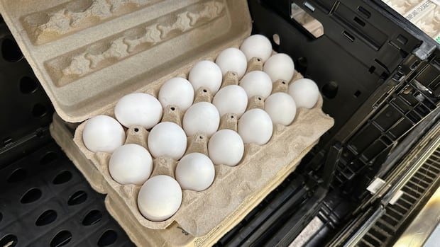 U.S. egg prices have finally dropped, but record highs aren’t over that easy [Video]