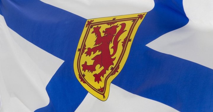 Gender-based violence: N.S. committee hears distressing testimony from mother of four – Halifax [Video]