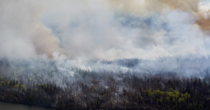 A very big hit: Evacuations continue in Manitoba communities as wildfires spread – Winnipeg [Video]