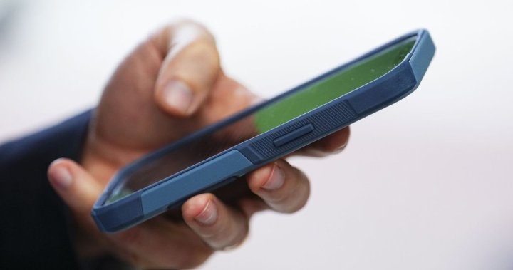 Canadas telecoms say roaming revenue is down as U.S. travel drops – National [Video]