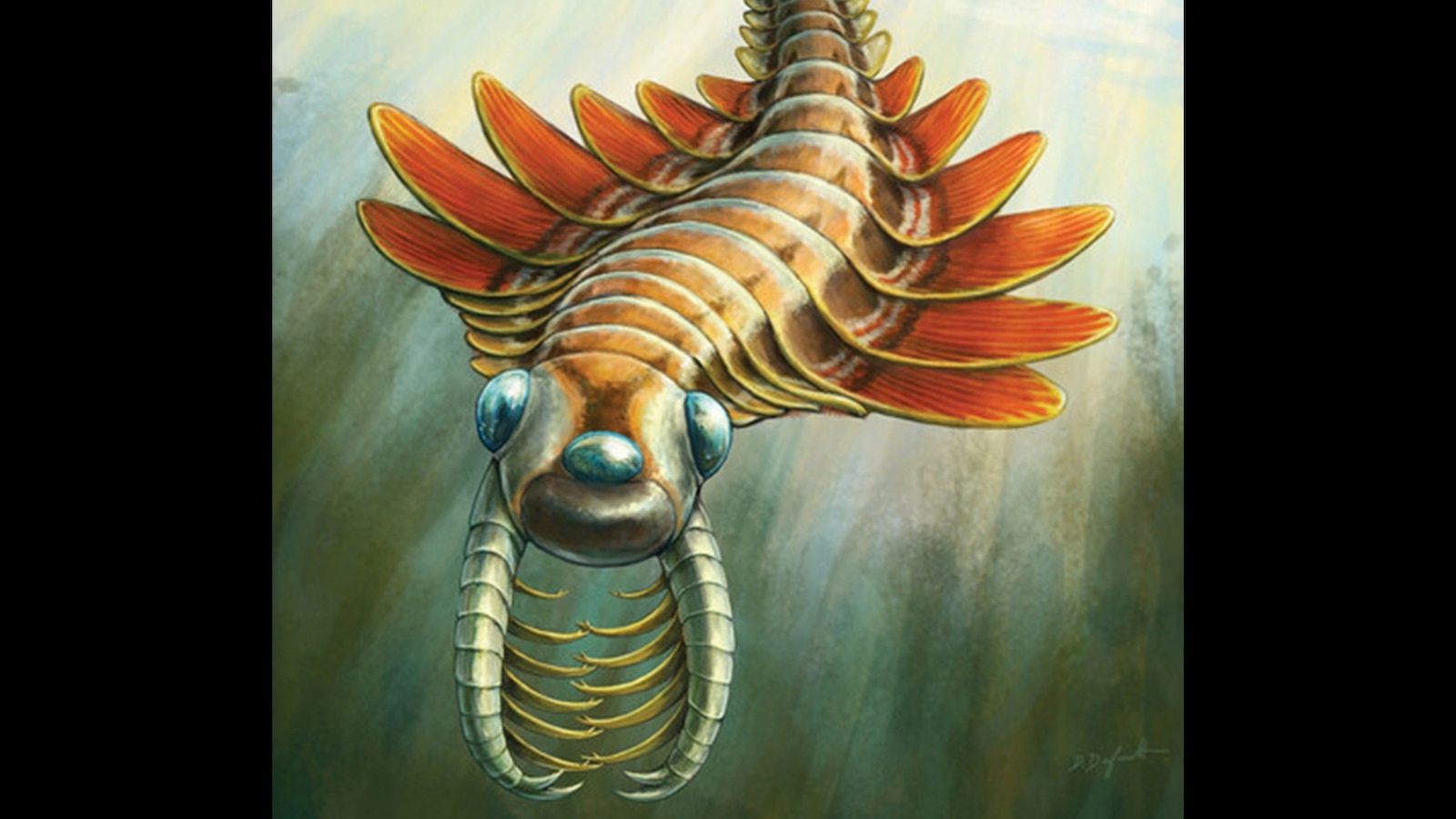 What paleontologists learned from fossils of a 3-eyed predator that lived 500 million years ago [Video]