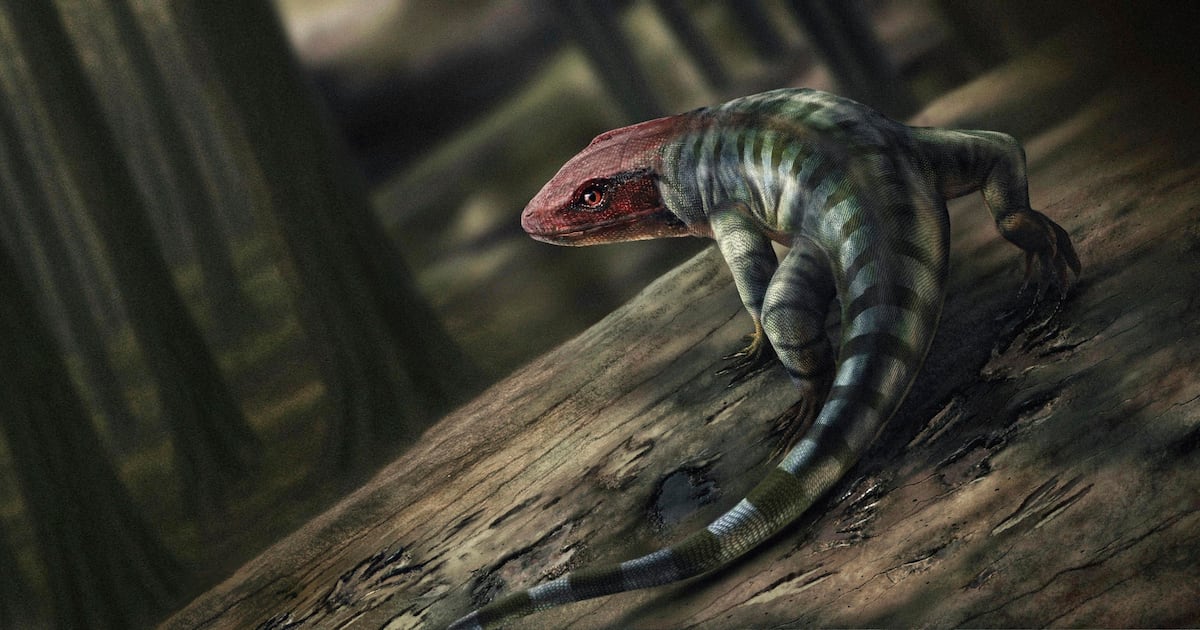 How ancient reptile footprints are rewriting the history of when animals evolved to live on land  Boston 25 News [Video]