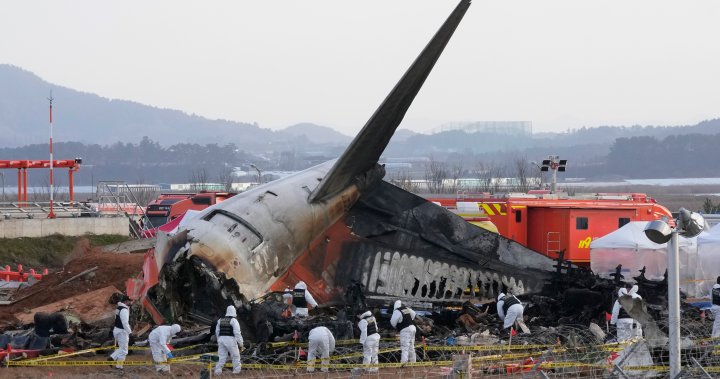 South Korea plane crash victims families file complaint against officials – National [Video]