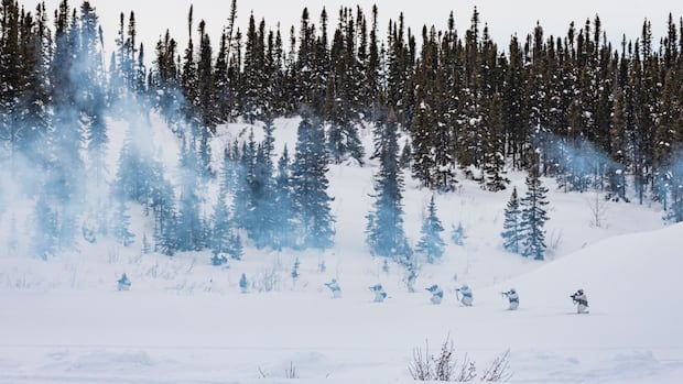 Canada’s military plans to be in the Arctic ‘on a near permanent basis,’ says commander [Video]