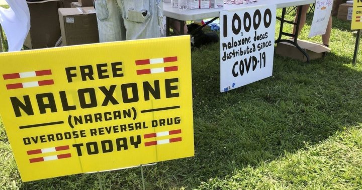 U.S. overdose deaths fell 27% in 2024, a new 1-year record – National [Video]