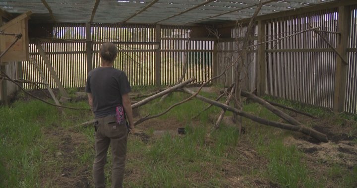 Alberta non-profit forced to fundraise after being denied grant funding [Video]