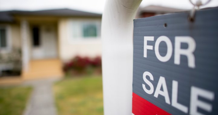 Should you move up plans to buy a home? Gauge the risks and rewards - National [Video]