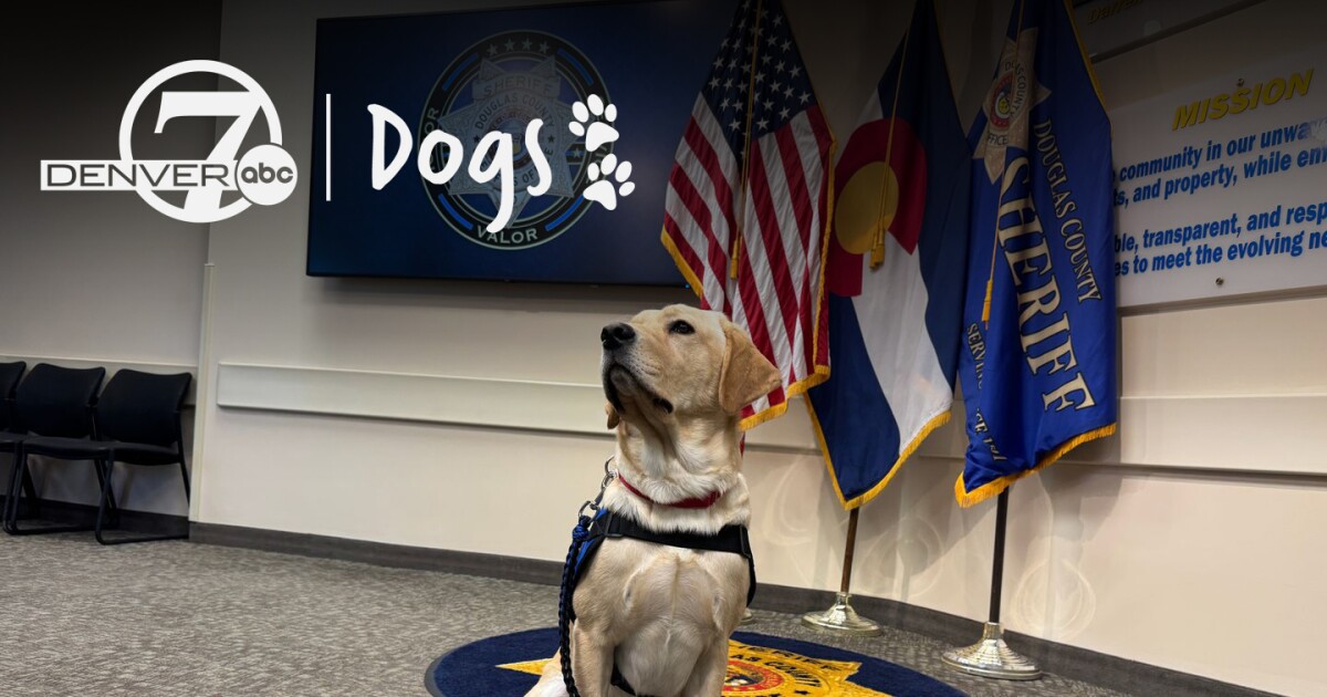 Meet Guster, Douglas County’s first-ever K9 school resource officer [Video]