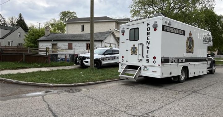 Winnipeg cops investigate Austin Street homicide – Winnipeg [Video]