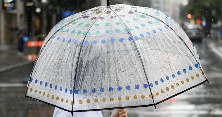 Ontarians to see wild swing in weather throughout Victoria Day long weekend [Video]
