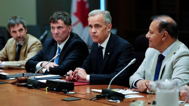 The Liberals aren’t tabling a budget. How does that affect the economy  and your wallet? [Video]
