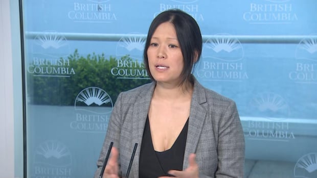 B.C. minister says government erred in not consulting First Nations on legislation [Video]