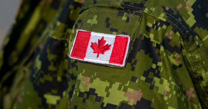 Canadian militarys new recruitment tool faces rollout problems – National [Video]