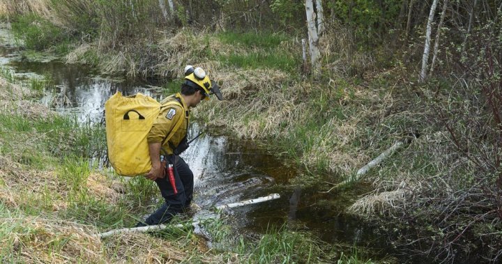 Rain offers some help for crews battling deadly wildfires in eastern Manitoba [Video]