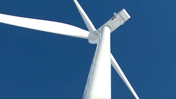 B.C. wildlife group concerned about risk to rainbow trout from wind farm project [Video]