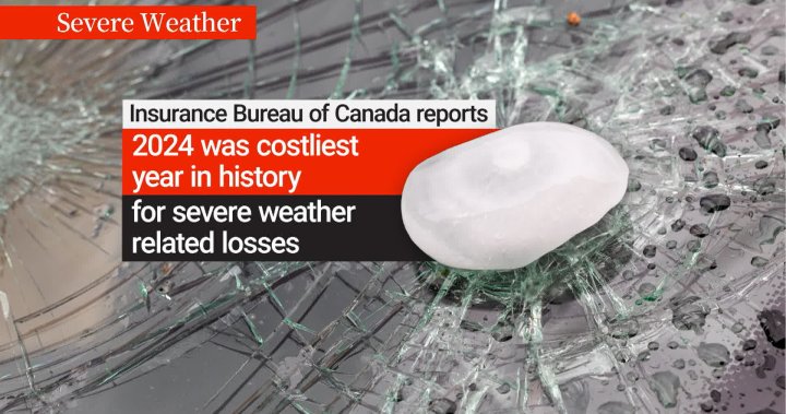 Calgary homeowners look for answers to soaring home insurance costs after hailstorms [Video]