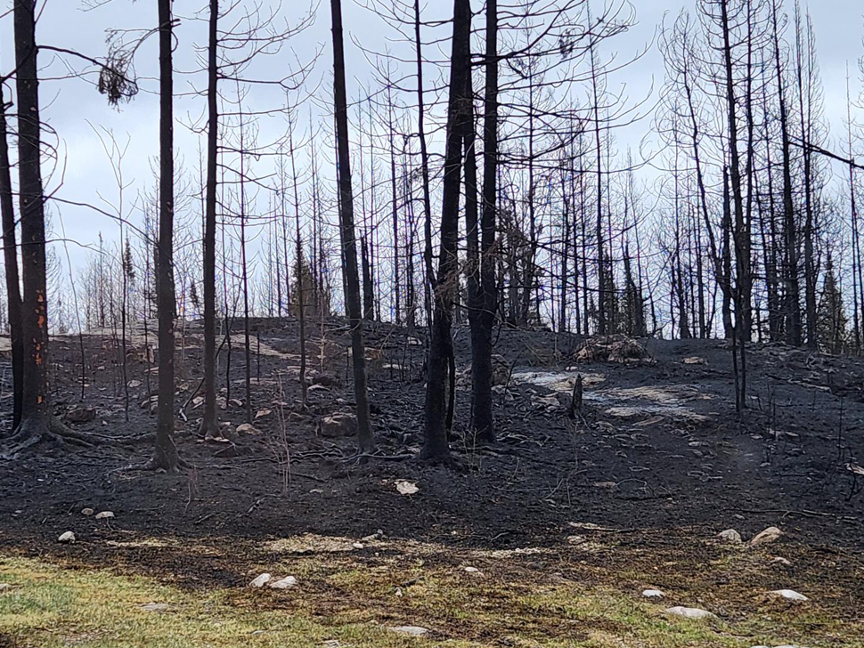 Bird River fire update from fire chief – SteinbachOnline.com [Video]