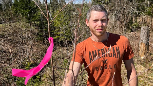 Stepdad of missing N.S. kids says he hopes ‘something positive’ will come from renewed search [Video]