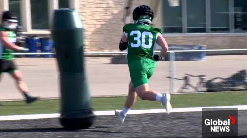Saskatchewan Roughriders shine spotlight on fans for 2025 Green & White Day [Video]