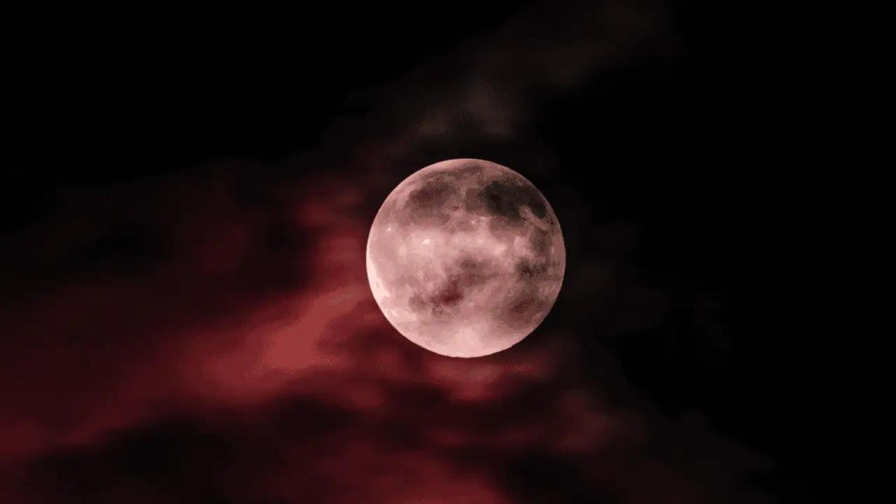 ‘Strawberry Moon’ to rise next month, tied to early summer harvests in Ontario [Video]
