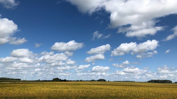 2 MPPs have proposed an Ontario foodbelt. Could it help tariff-proof the ag sector? [Video]