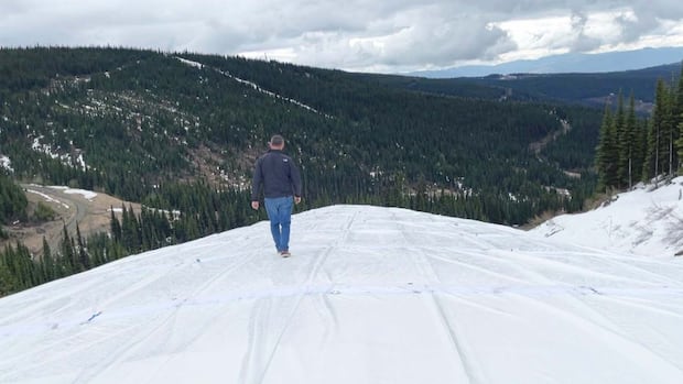 The surprisingly low-tech way a B.C. ski resort is saving its snow [Video]