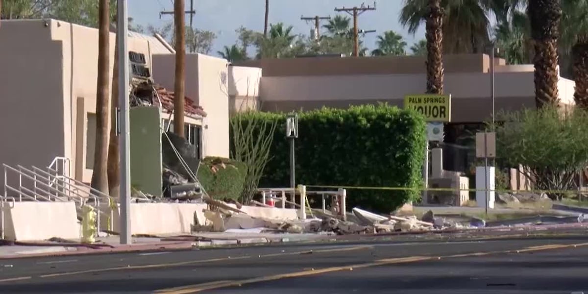 Palm Springs fertility clinic patient grateful all embryos safe after explosion [Video]