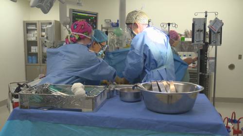 Centralized lists could improve surgery wait times in Canada, study says [Video]