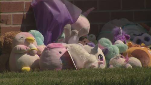 Family of 3 children killed by an alleged speeding drunk driver speak out [Video]