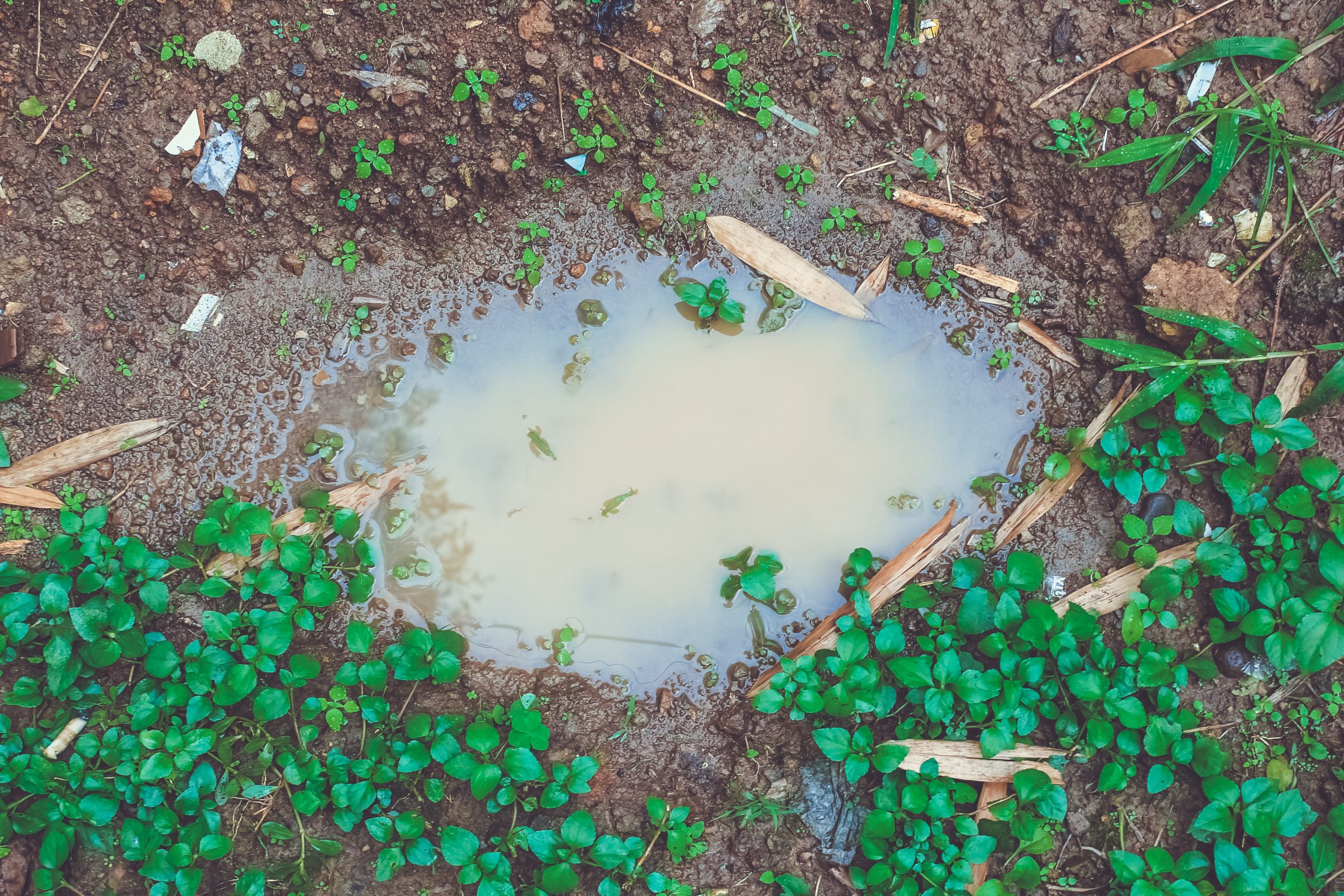 Footage of Hiker’s Unexpected Discovery in the Woods Goes Viral: ‘How?’ [Video]