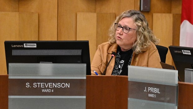 London councillor’s transparency concerns with homelessness plan rebuffed by committee [Video]