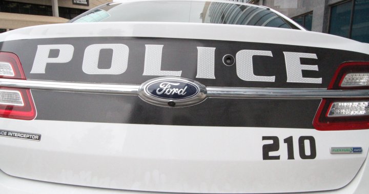 Winnipeg man arrested after alleged animal abuse, assault on off-duty cop - Winnipeg [Video]
