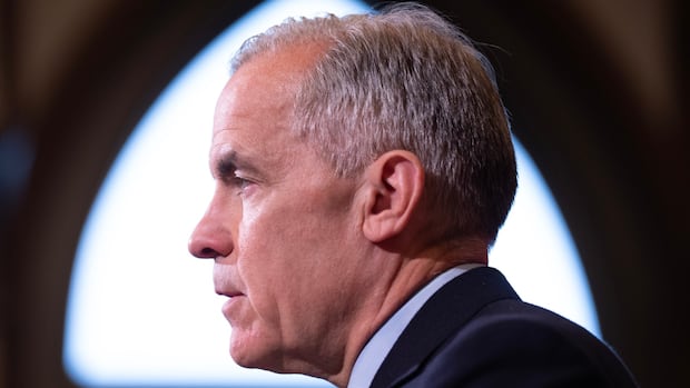 Carney says IDF fired shots near Canadians in West Bank are ‘totally unacceptable’ [Video]