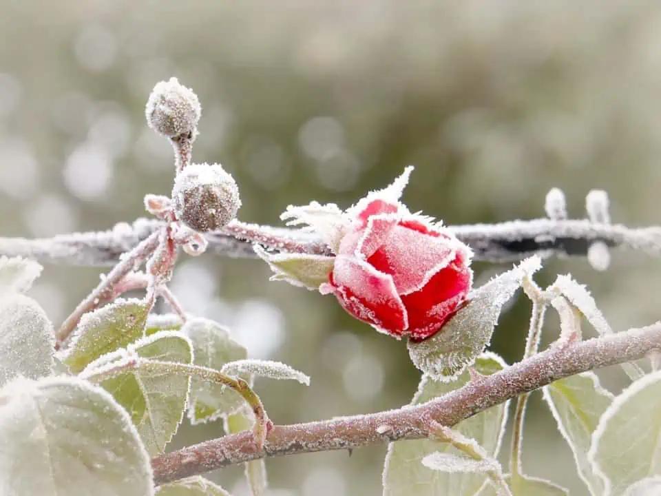 Another weather advisory issued in Ontario [Video]
