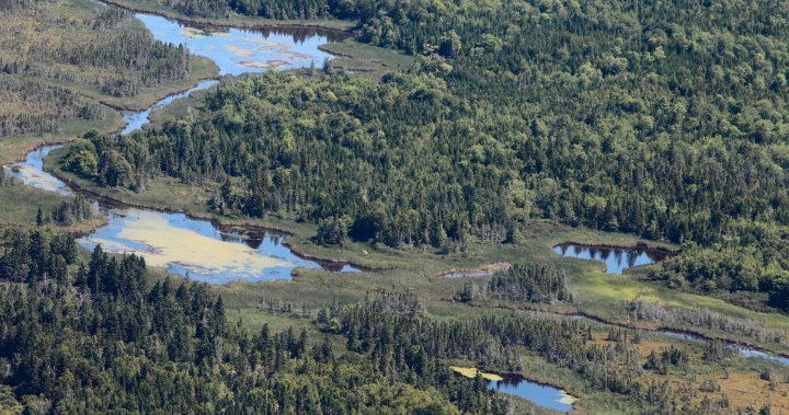 Chignecto Isthmus case waste of Nova Scotia Court of Appeals time: federal lawyer [Video]